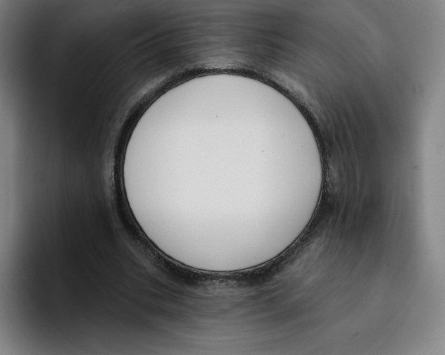 X0000094920535200712271534