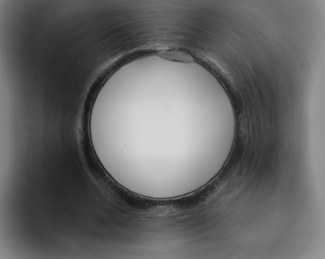X0000094920536200712271534