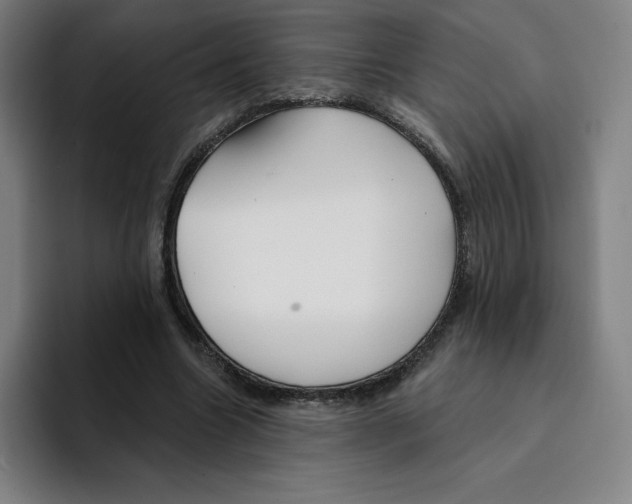 X0000094920538200712271534