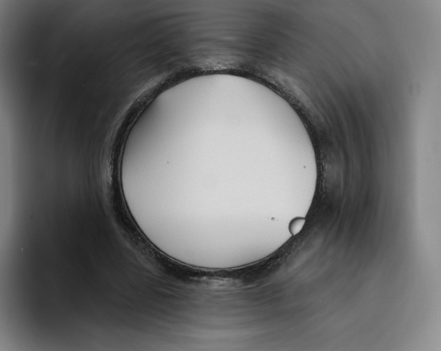 X0000094920539200712271534