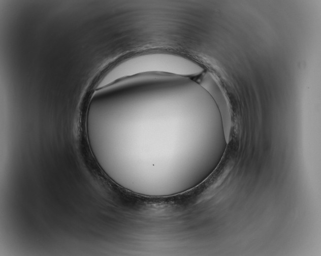 X0000094920540200712271534