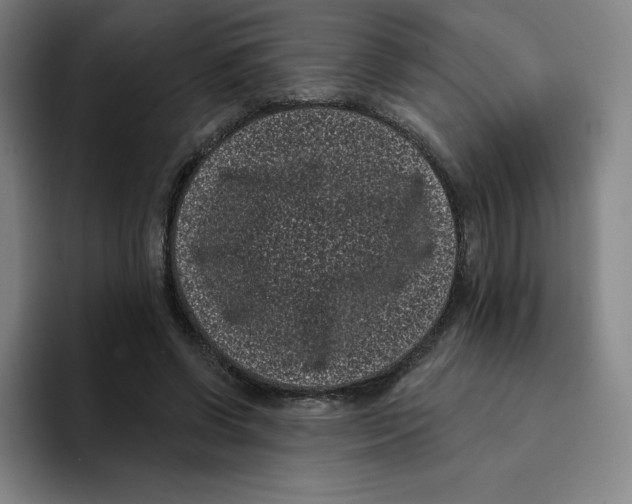 X0000094920542200712271535