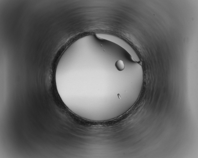 X0000094920544200712271535