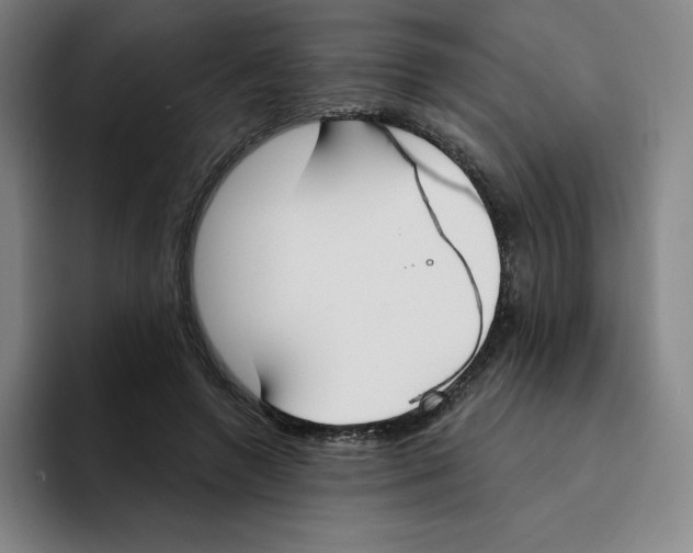X0000094920546200712271535