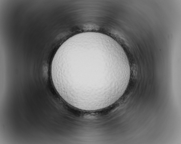 X0000094920550200712271535