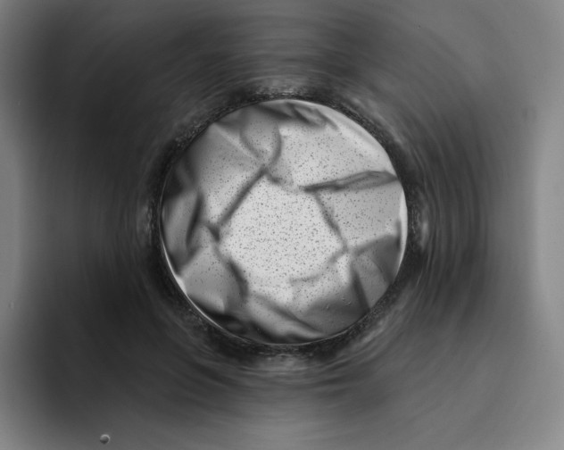 X0000094920551200712271535