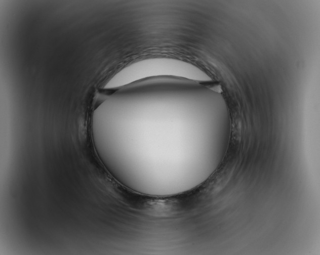 X0000094920558200712271535
