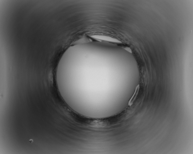 X0000094920562200712271535