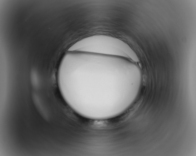 X0000094920573200712271535