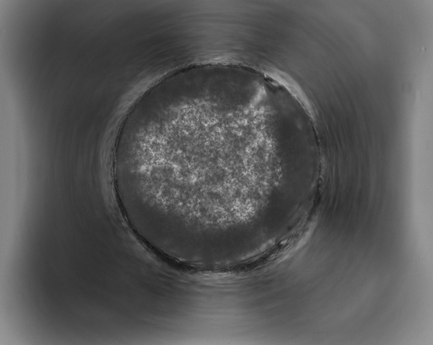 X0000094920577200712271534