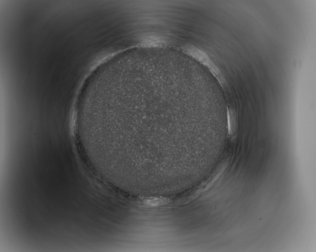 X0000094920579200712271534