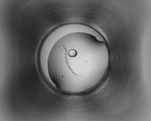X0000094920581200712271534