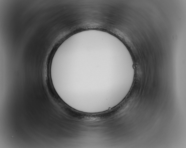 X0000094920582200712271534