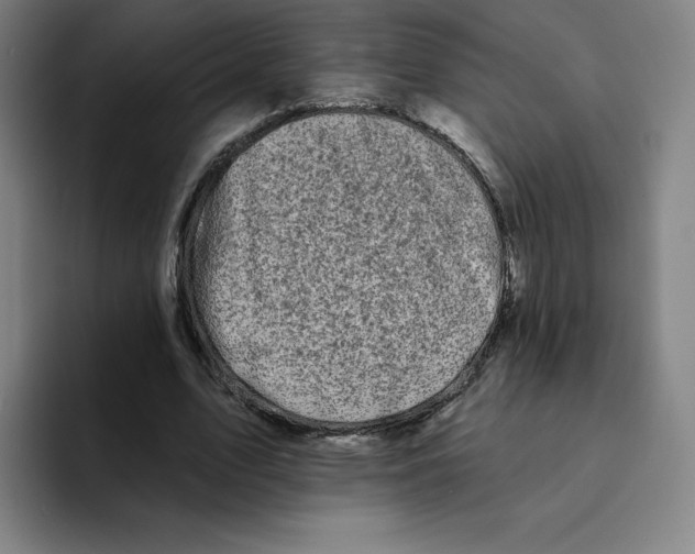 X0000094920583200712271534