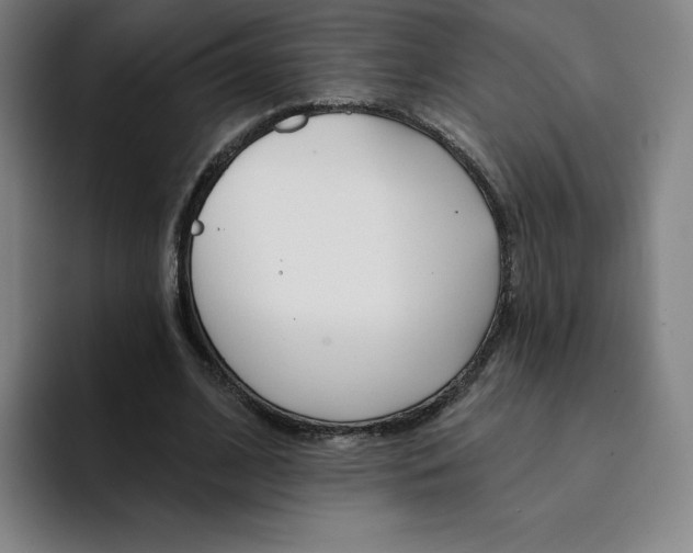 X0000094920584200712271534