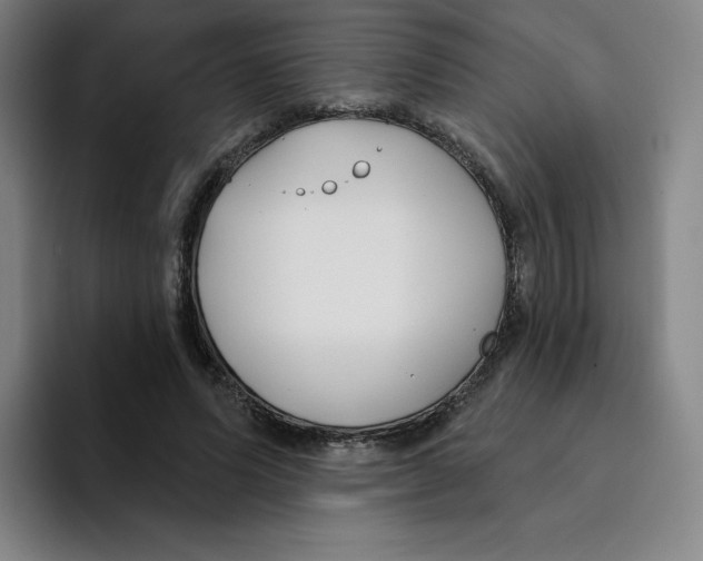 X0000094920591200712271534