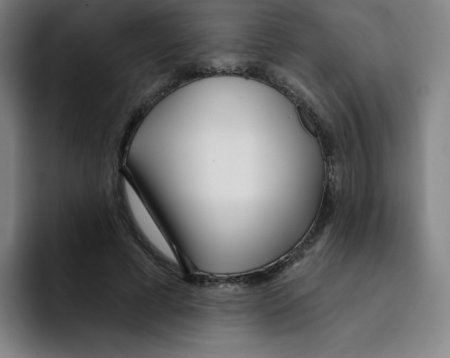X0000094920593200712271534