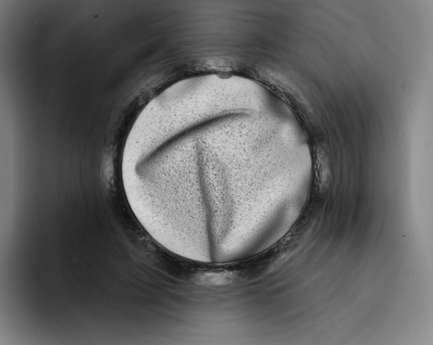 X0000094920595200712271534