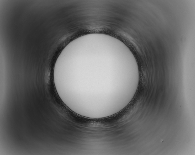 X0000094920596200712271534