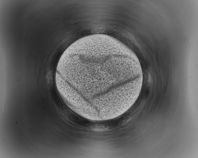 X0000094920598200712271534