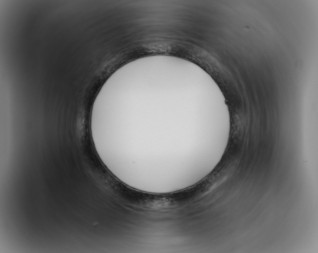 X0000094920600200712271534