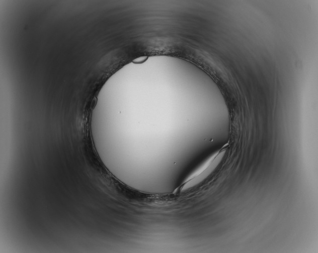 X0000094920601200712271534