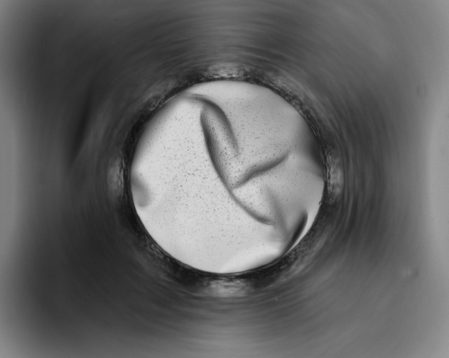 X0000094920603200712271534