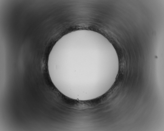 X0000094920608200712271534