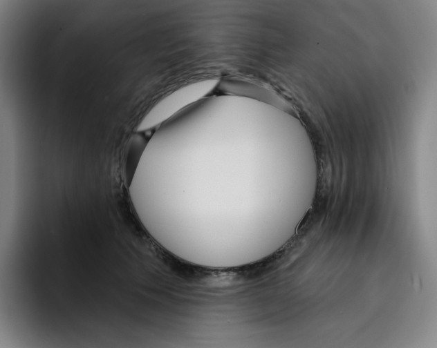 X0000094920609200712271534