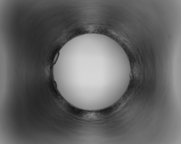 X0000094920611200712271534