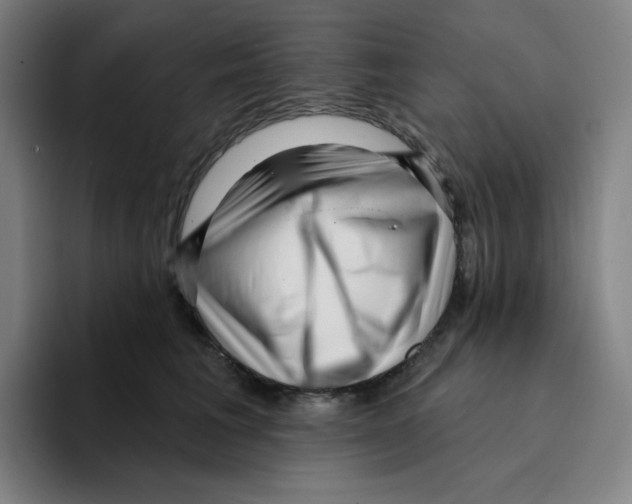 X0000094920613200712271534