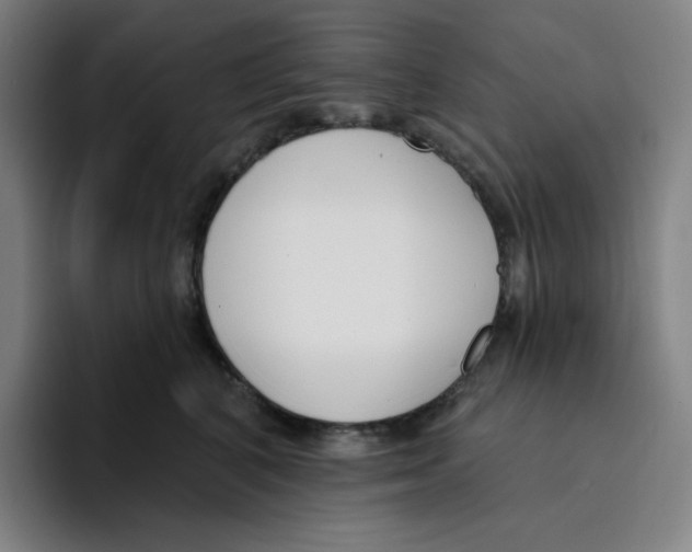 X0000094920616200712271534