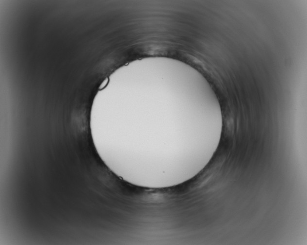 X0000094920620200712271534