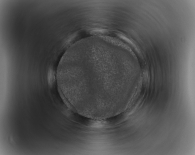 X0000094920621200712271534
