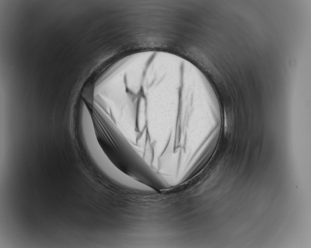 X0000094920627200712271533