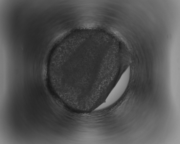 X0000094920640200712271533
