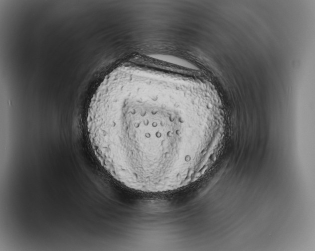 X0000094920644200712271533