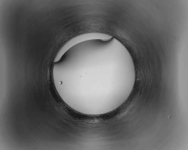 X0000094920646200712271533