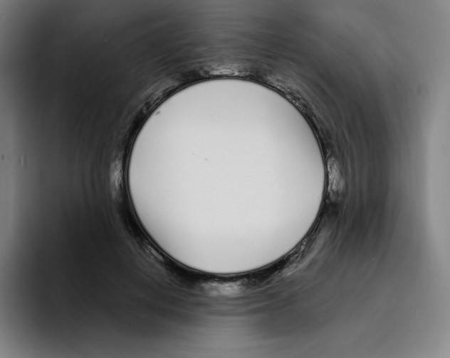 X0000094920648200712271533