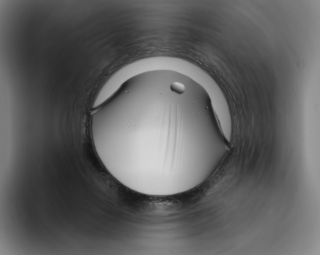 X0000094920650200712271533