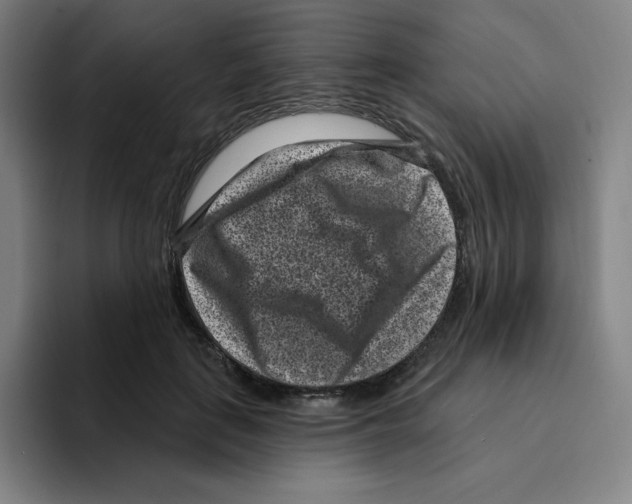 X0000094920651200712271533