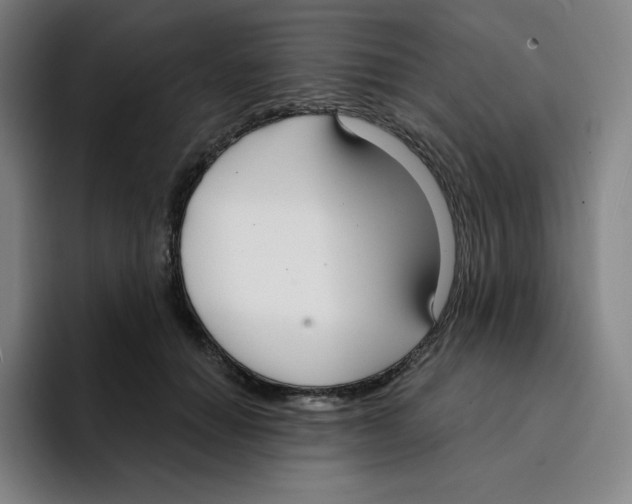 X0000094920654200712271533