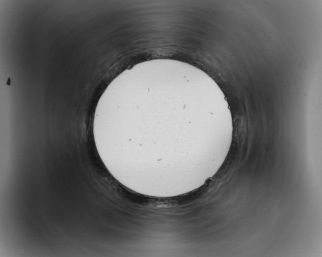 X0000094920655200712271533