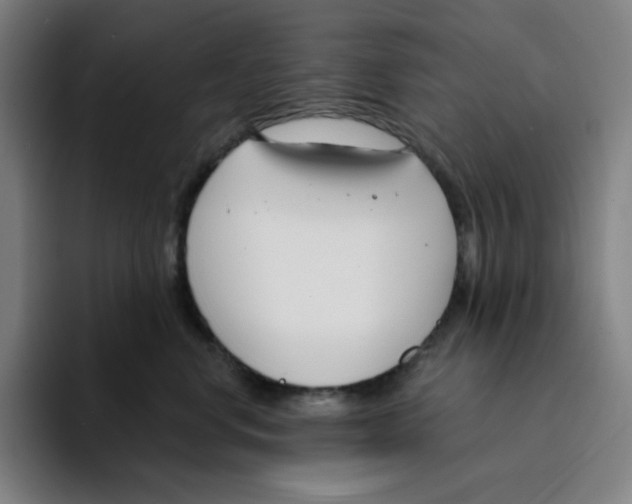 X0000094920668200712271534