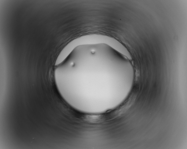 X0000094920671200712271534