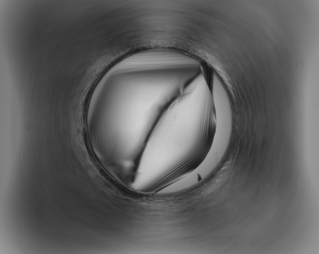X0000094920673200712271533