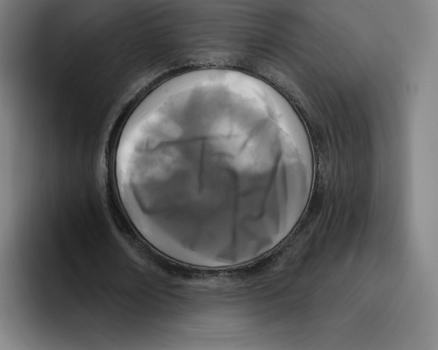 X0000094920674200712271533