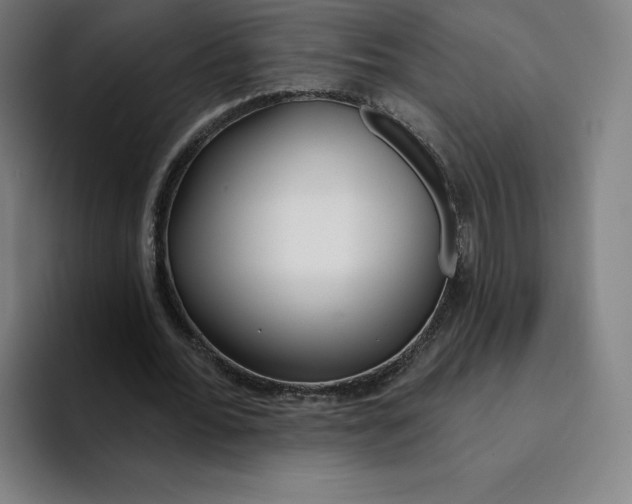 X0000094920676200712271533
