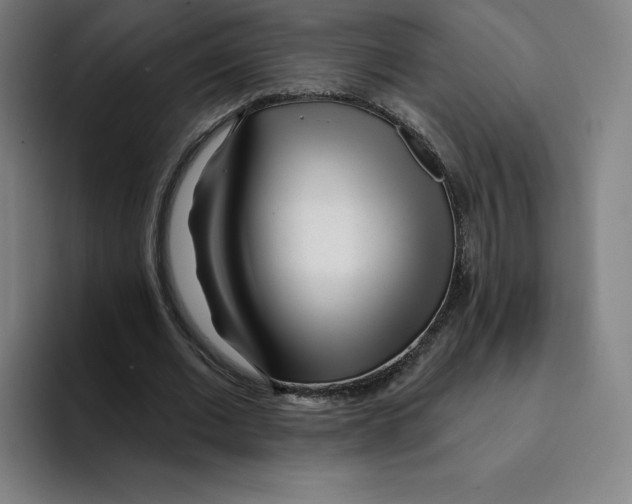 X0000094920677200712271533