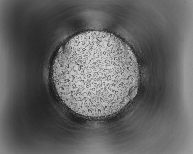X0000094920679200712271533